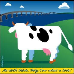 Bridge COWS Classic T