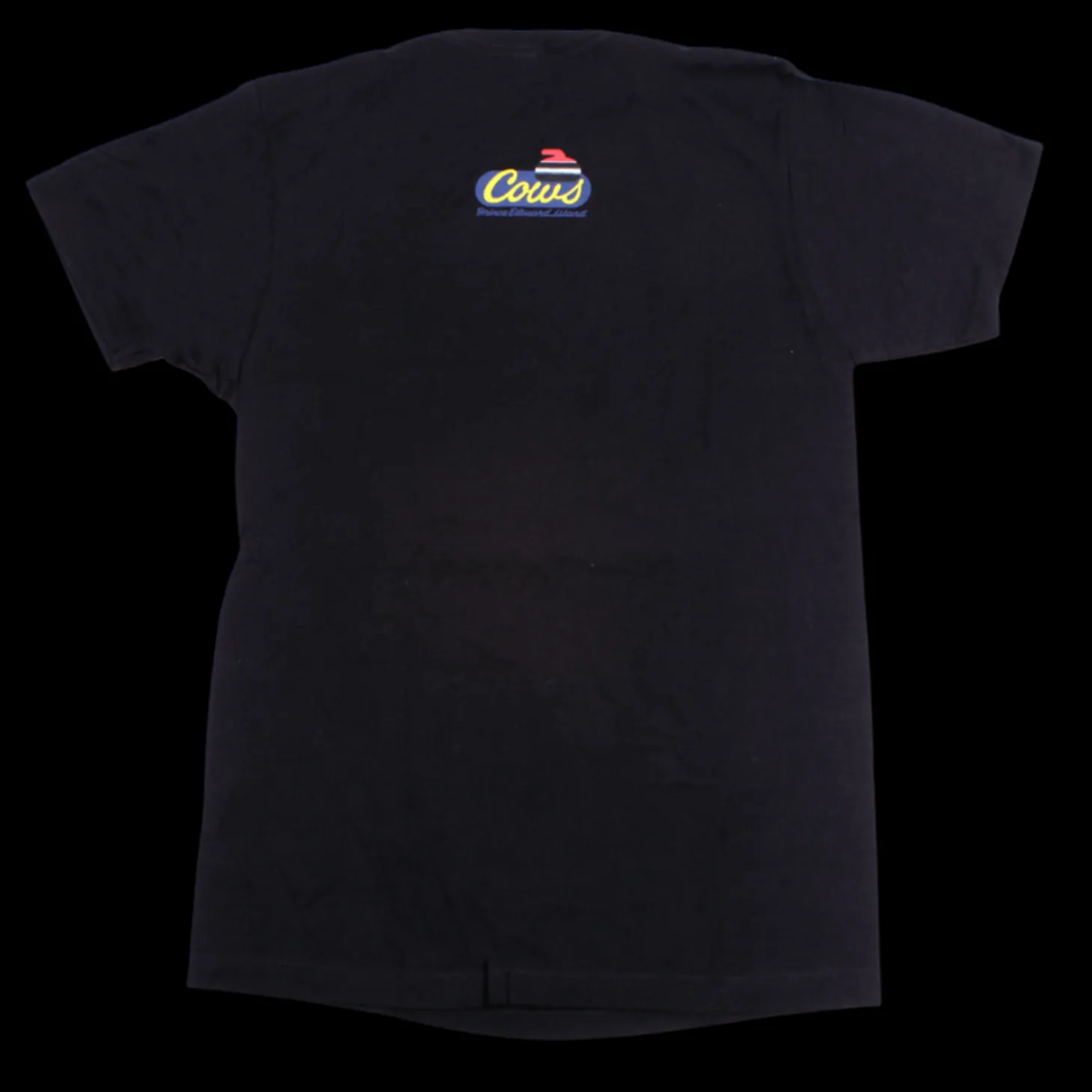 Curling Adult T