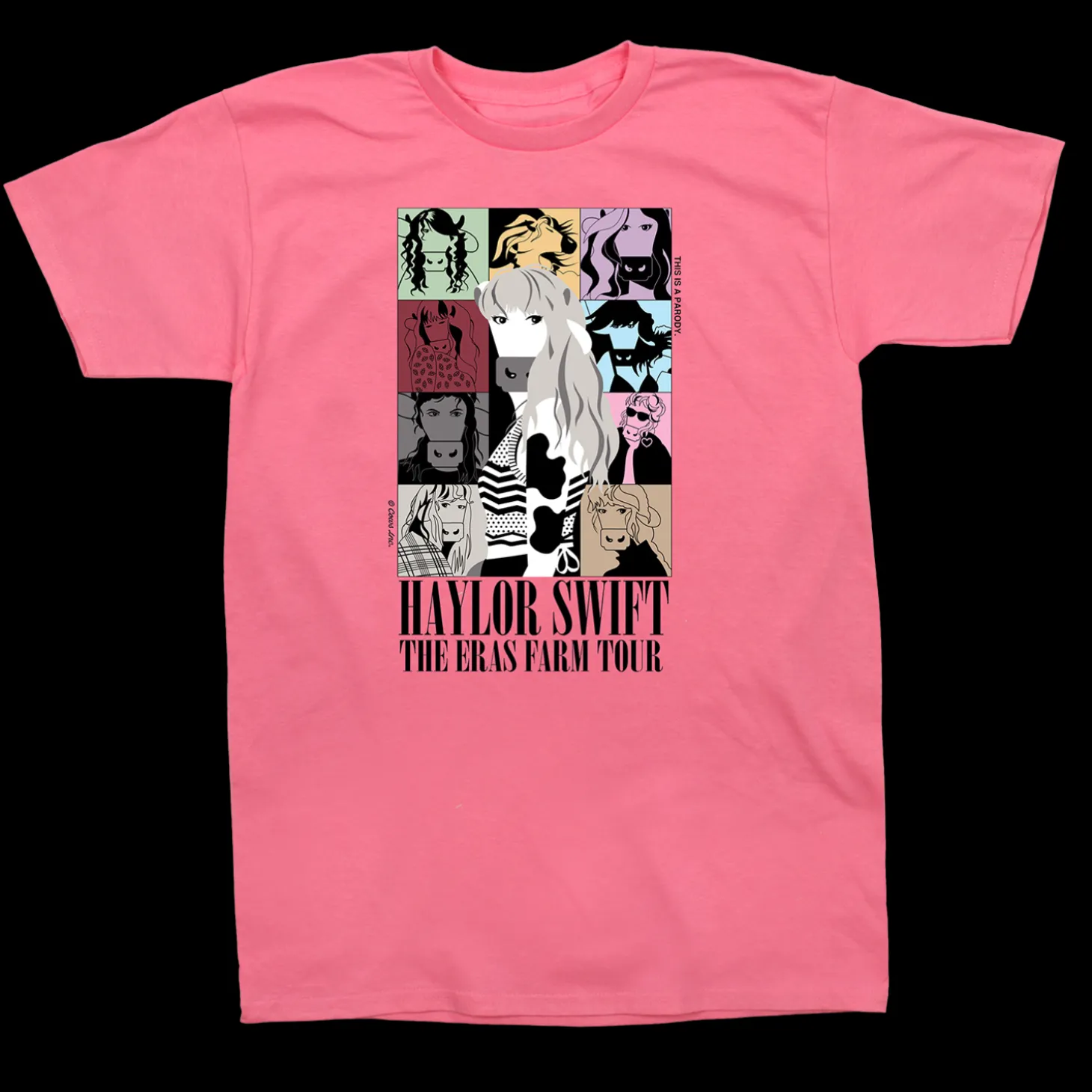HAYlor Swift: The Eras Farm Tour Youth T