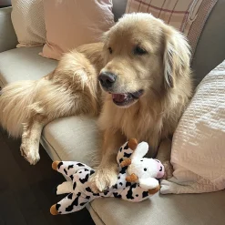 Spotted Dog Toy